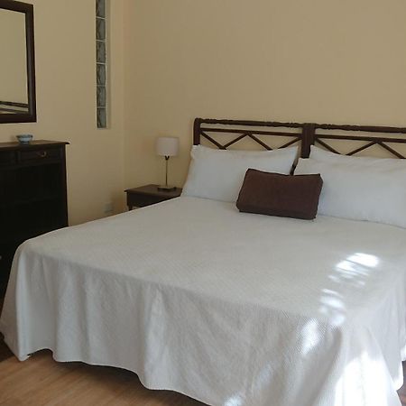 534 Petit San Telmo - Studio & Suites 布宜诺斯艾利斯 外观 照片