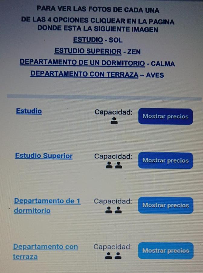 534 Petit San Telmo - Studio & Suites 布宜诺斯艾利斯 外观 照片